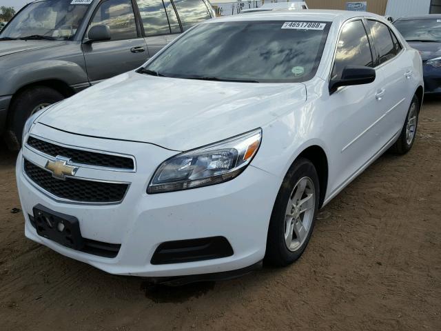 1G11B5SA4DF221131 - 2013 CHEVROLET MALIBU LS 白色 照片 2