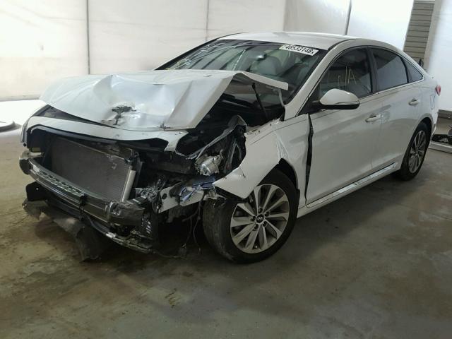 5NPE34AF3FH091378 - 2015 HYUNDAI SONATA SPO WHITE photo 2