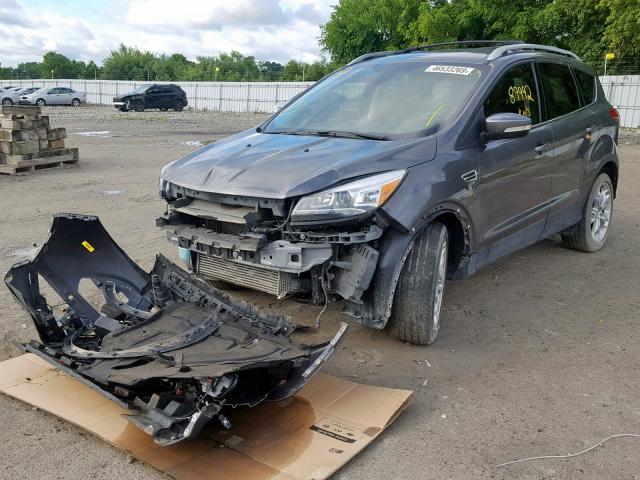 1FMCU9J95DUC81094 - 2013 FORD ESCAPE TIT GRAY photo 2