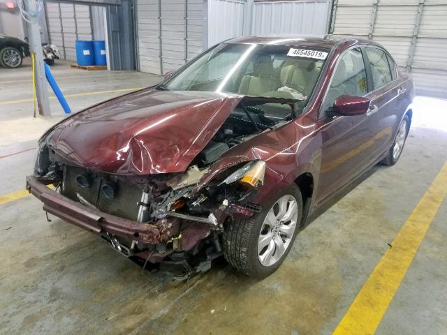 1HGCP36838A030589 - 2008 HONDA ACCORD EXL RED photo 2