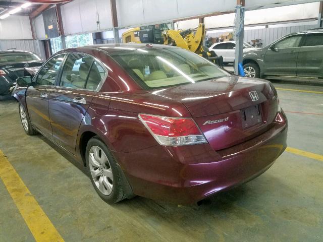 1HGCP36838A030589 - 2008 HONDA ACCORD EXL RED photo 3