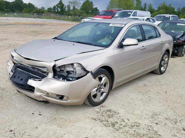 1G1ZH57B894183988 - 2009 CHEVROLET MALIBU 1LT GOLD photo 2