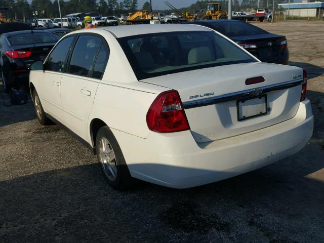 1G1ZT54835F123820 - 2005 CHEVROLET MALIBU LS 白色 照片 3