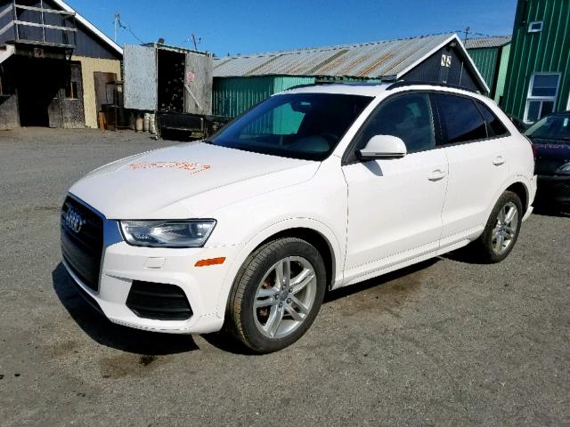 WA1EFCFS4GR022243 - 2016 AUDI Q3 PREMIUM WHITE photo 2