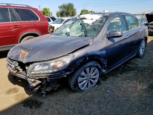 1HGCR3F80EA039899 - 2014 HONDA ACCORD EXL GRAY photo 2