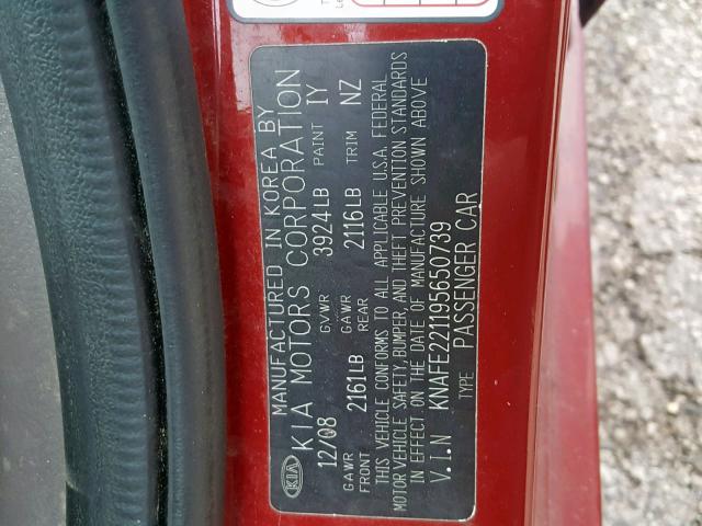 KNAFE221195650739 - 2009 KIA SPECTRA EX RED photo 10