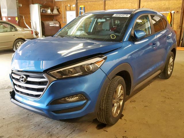 KM8J3CA45HU259565 - 2017 HYUNDAI TUCSON LIM BLUE photo 2