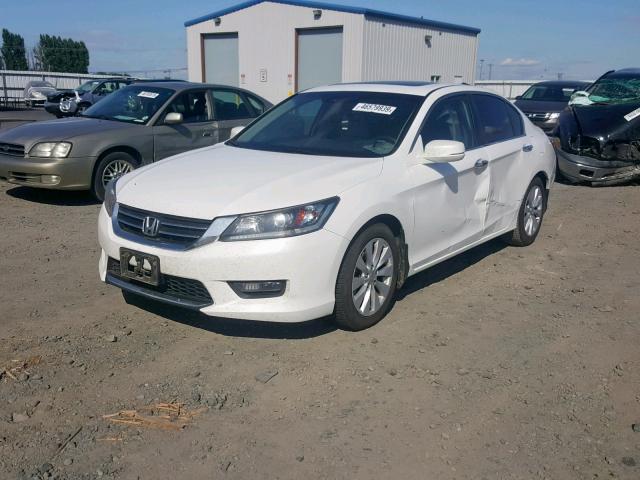 1HGCR2F89EA042505 - 2014 HONDA ACCORD EXL WHITE photo 2