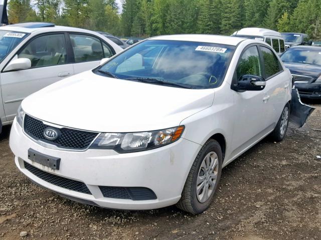 KNAFU4A28A5226066 - 2010 KIA FORTE EX WHITE photo 2