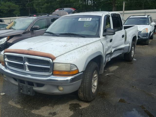 1B7GL2AN71S214310 - 2001 DODGE DAKOTA QUA WHITE photo 2