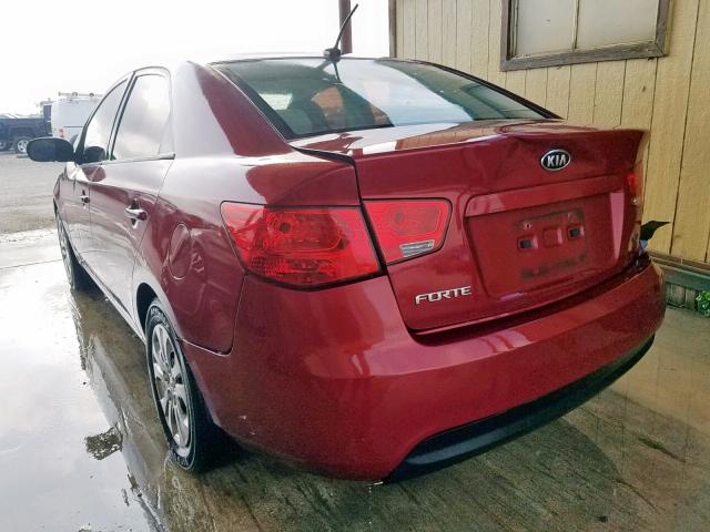 KNAFU4A24A5850835 - 2010 KIA FORTE EX MAROON photo 3