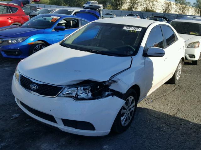 KNAFU4A27C5572368 - 2012 KIA FORTE EX WHITE photo 2