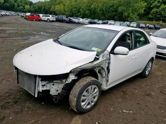 KNAFU4A22A5288322 - 2010 KIA FORTE EX WHITE photo 2