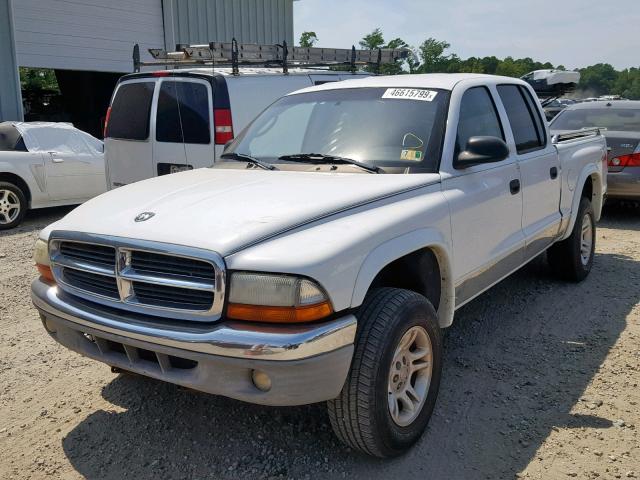 1D7HG48N24S611251 - 2004 DODGE DAKOTA QUA WHITE photo 2