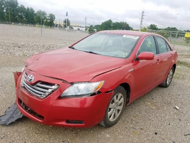 4T1BB46K38U032945 - 2008 TOYOTA CAMRY HYBR RED photo 2