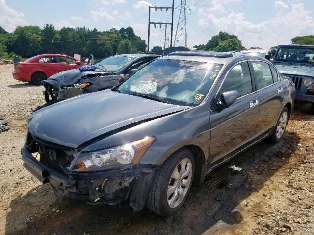 5KBCP36809B001415 - 2009 HONDA ACCORD EXL SILVER photo 2