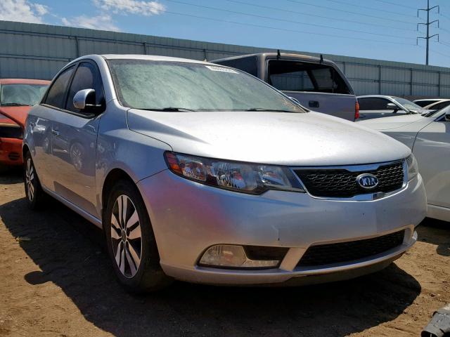 KNAFU4A25D5700544 - 2013 KIA FORTE EX SILVER photo 1