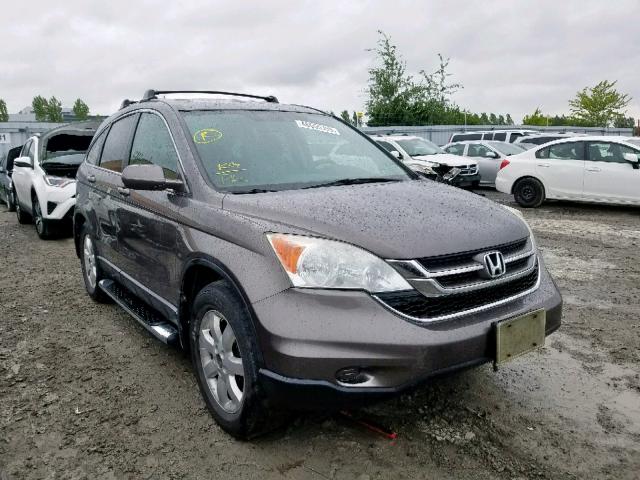 5J6RE4H74AL810078 - 2010 HONDA CR-V EXL BROWN photo 1