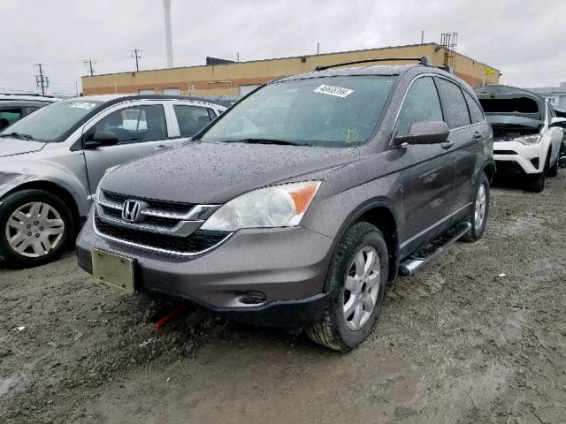 5J6RE4H74AL810078 - 2010 HONDA CR-V EXL BROWN photo 2