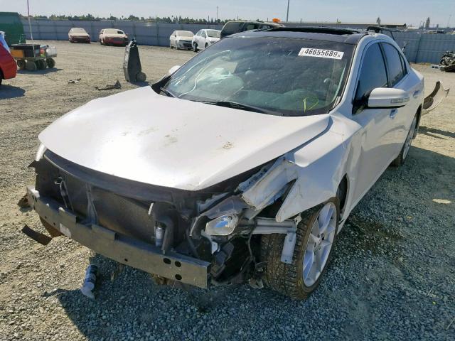 1N4AA5AP8BC812860 - 2011 NISSAN MAXIMA S WHITE photo 2