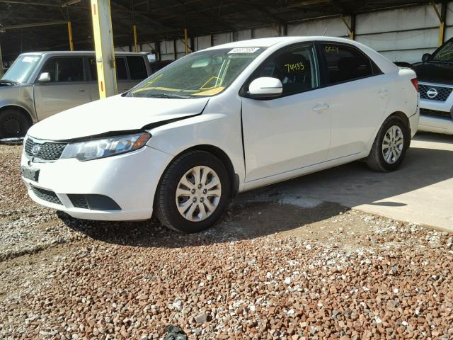 KNAFU4A20D5647557 - 2013 KIA FORTE EX WHITE photo 2