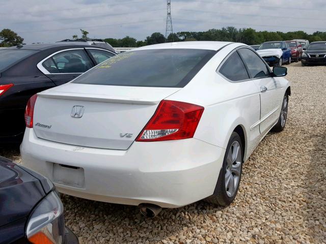 1HGCS2B81BA003090 - 2011 HONDA ACCORD EXL WHITE photo 4