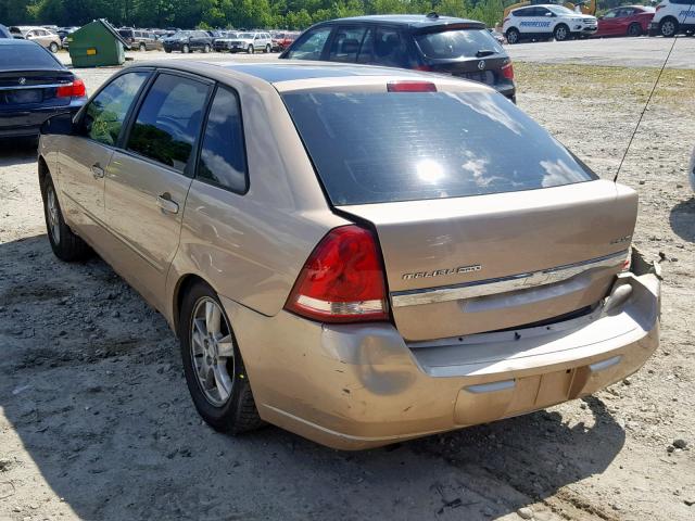1G1ZT64865F247540 - 2005 CHEVROLET MALIBU MAX 金色 照片 3