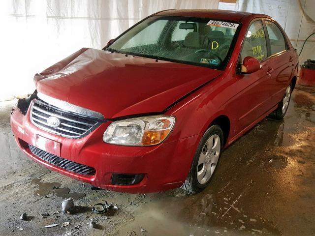 KNAFE122385548862 - 2008 KIA SPECTRA EX RED photo 2