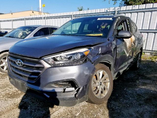 KM8J3CA47GU162169 - 2016 HYUNDAI TUCSON LIM GRAY photo 2