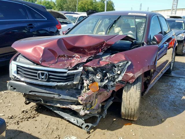 1HGCP26408A020691 - 2008 HONDA ACCORD LXP BURGUNDY photo 2