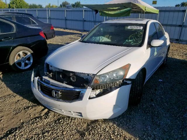 1HGCP2F82AA075832 - 2010 HONDA ACCORD EXL WHITE photo 2