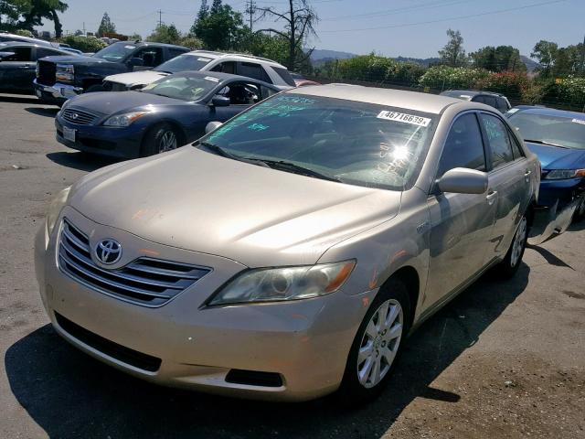 JTNBB46K383045507 - 2008 TOYOTA CAMRY HYBR GOLD photo 2