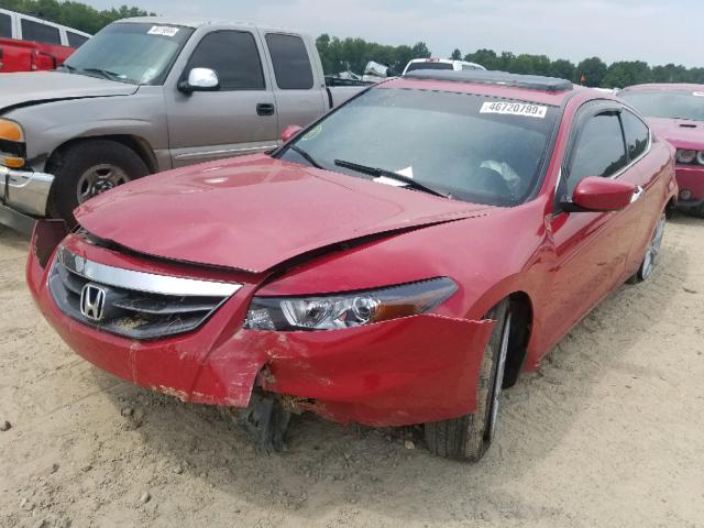 1HGCS2B81CA000336 - 2012 HONDA ACCORD EXL RED photo 2