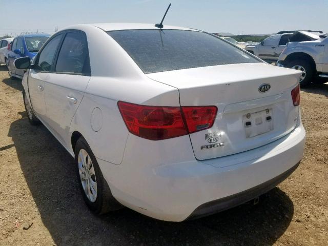 KNAFU4A27A5866513 - 2010 KIA FORTE EX WHITE photo 3