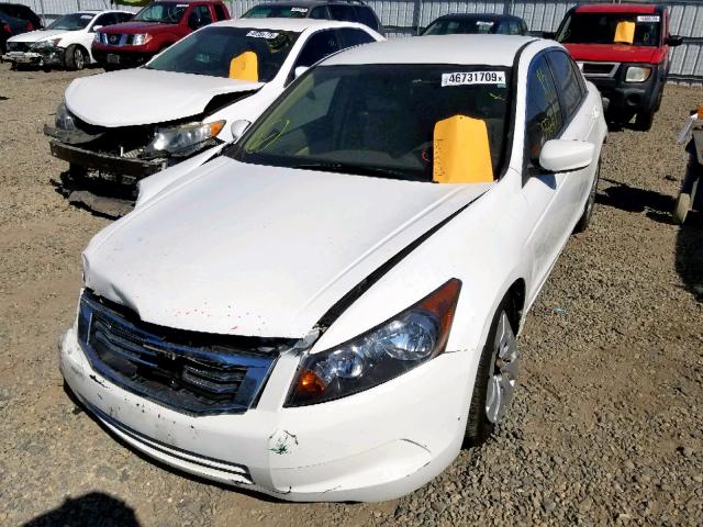 1HGCP26368A029838 - 2008 HONDA ACCORD LX WHITE photo 2