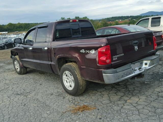 1D7HW48K75S236614 - 2005 DODGE DAKOTA QUA BURGUNDY photo 3