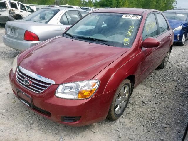 KNAFE122275455202 - 2007 KIA SPECTRA EX RED photo 2