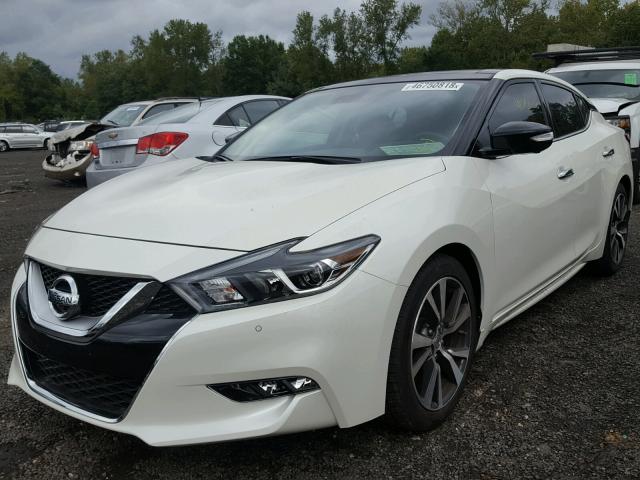 1N4AA6AP4HC364311 - 2017 NISSAN MAXIMA 3.5 WHITE photo 2