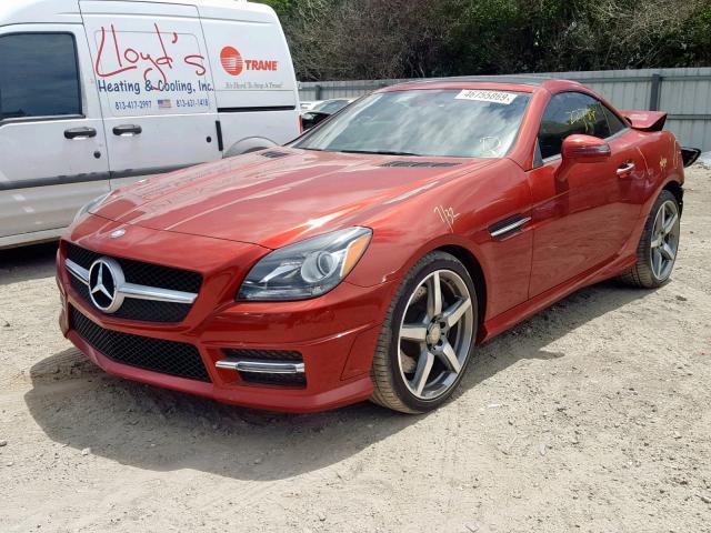 WDDPK4HA1FF107051 - 2015 MERCEDES-BENZ SLK 250 RED photo 2