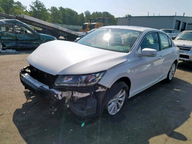 1HGCR2F84FA052473 - 2015 HONDA ACCORD EXL WHITE photo 2