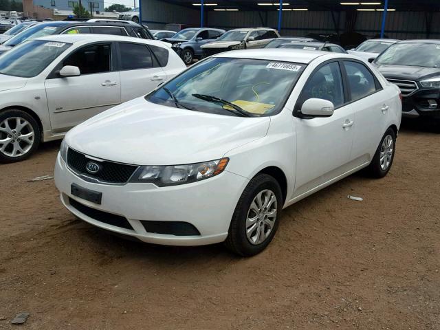 KNAFU4A21A5066175 - 2010 KIA FORTE EX WHITE photo 2