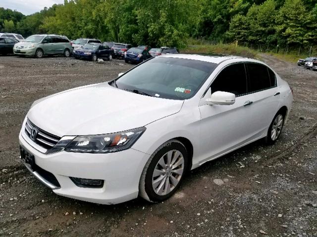 1HGCR3F86EA026834 - 2014 HONDA ACCORD EXL WHITE photo 2