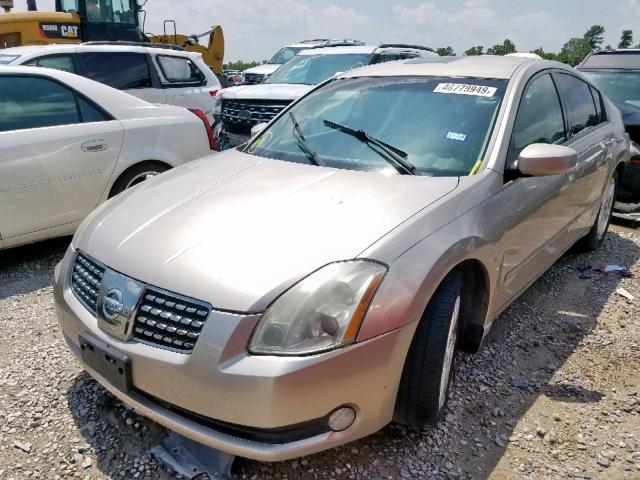 1N4BA41E26C852158 - 2006 NISSAN MAXIMA SE TAN photo 2