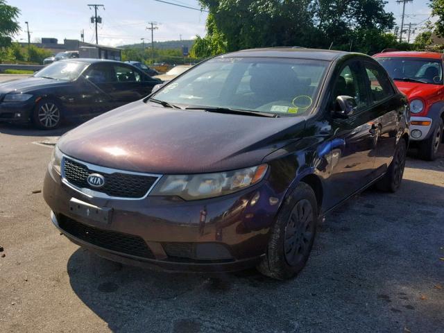 KNAFU4A26B5450874 - 2011 KIA FORTE EX BURGUNDY photo 2