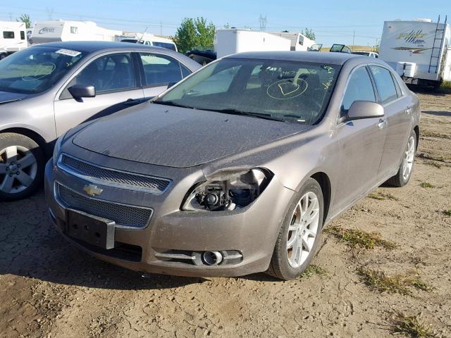 1G1ZE5E03AF319995 - 2010 CHEVROLET MALIBU LTZ 棕色 照片 2