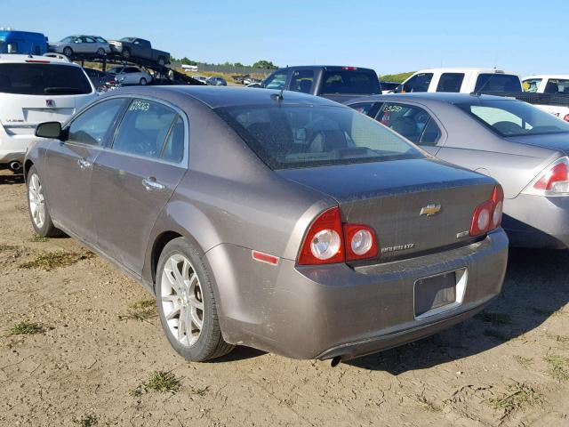 1G1ZE5E03AF319995 - 2010 CHEVROLET MALIBU LTZ 棕色 照片 3