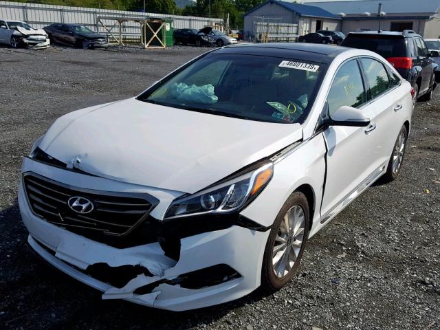 5NPE34AF8FH090985 - 2015 HYUNDAI SONATA SPO WHITE photo 2