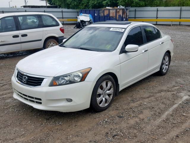 1HGCP36878A076524 - 2008 HONDA ACCORD EXL WHITE photo 2