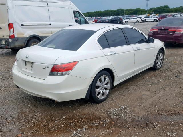 1HGCP36878A076524 - 2008 HONDA ACCORD EXL WHITE photo 4