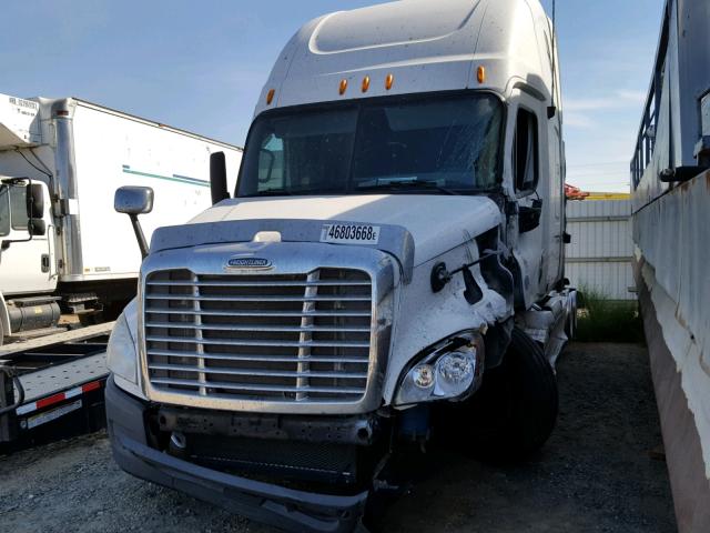 1FUJGLDR79LAC0825 - 2009 FREIGHTLINER CASCADIA 1 WHITE photo 2